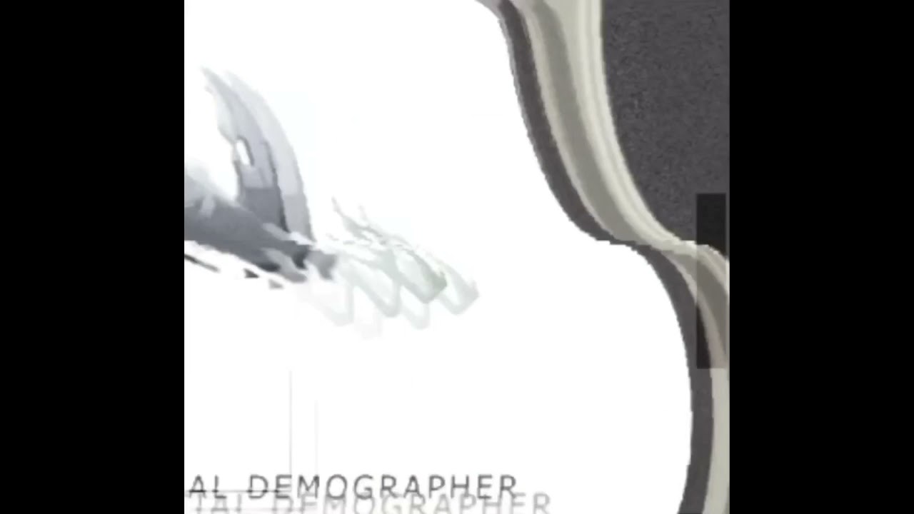 What is social demography?