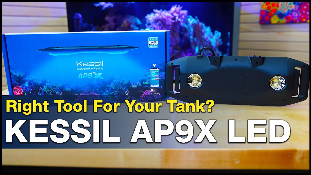 Will the Kessil AP9X be the right tool for one of the most challenging reef tanks we try to keep?