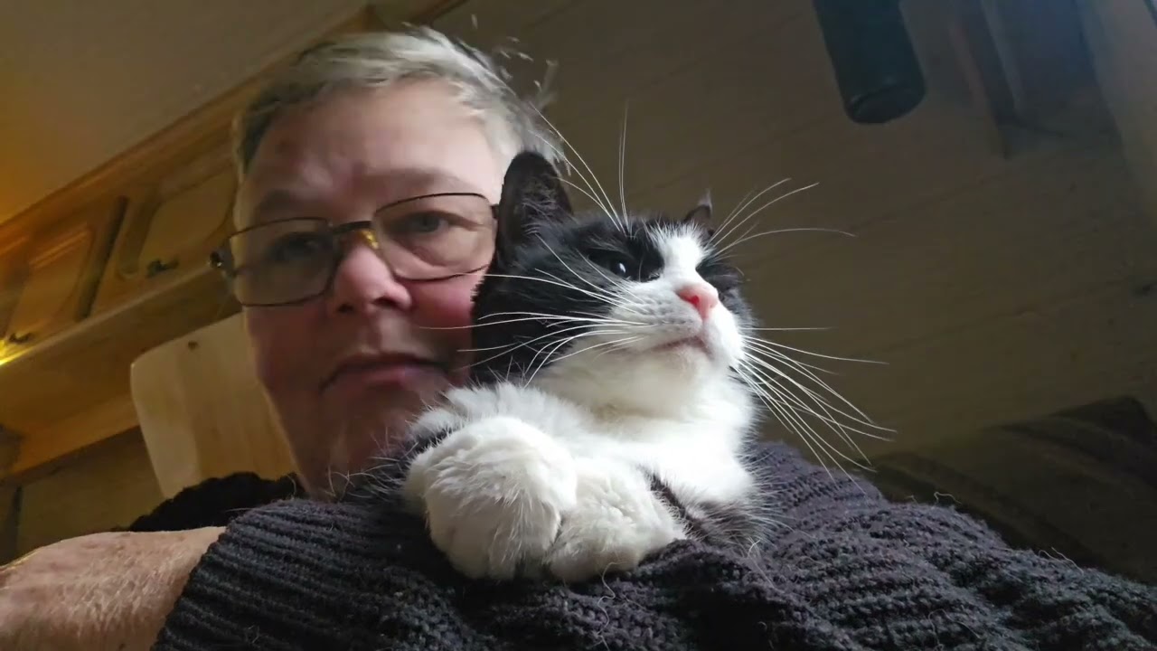 Baby Cat being cute