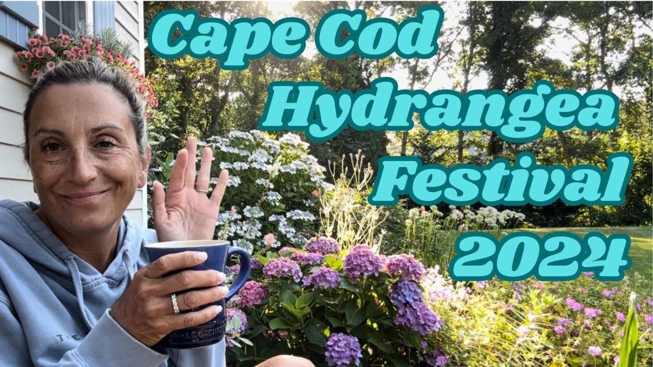Cape Cod Hydrangea Festival 2024 🌊🌊🌊 #colors #hydrangea