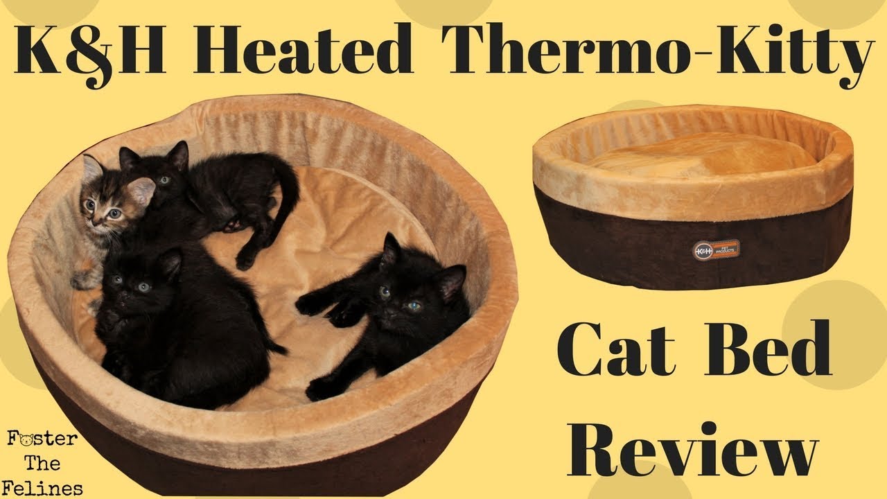 Обзор лежанки для кошек с подогревом K&H Thermo-Kitty &mdash; лежанка для животных