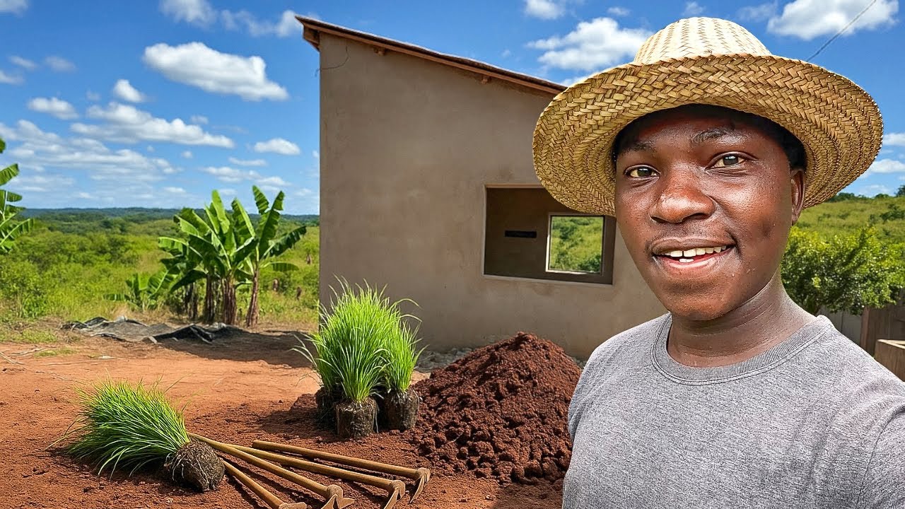 Início do Nosso Projeto de Plantação de Grama no Quintal e Aventuras com Meu Amigo na Roça