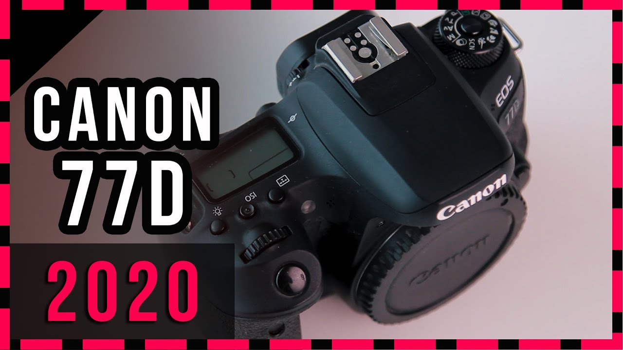 REVIEW EM 2020 DA CANON 77D - Experiência após muita utilização.