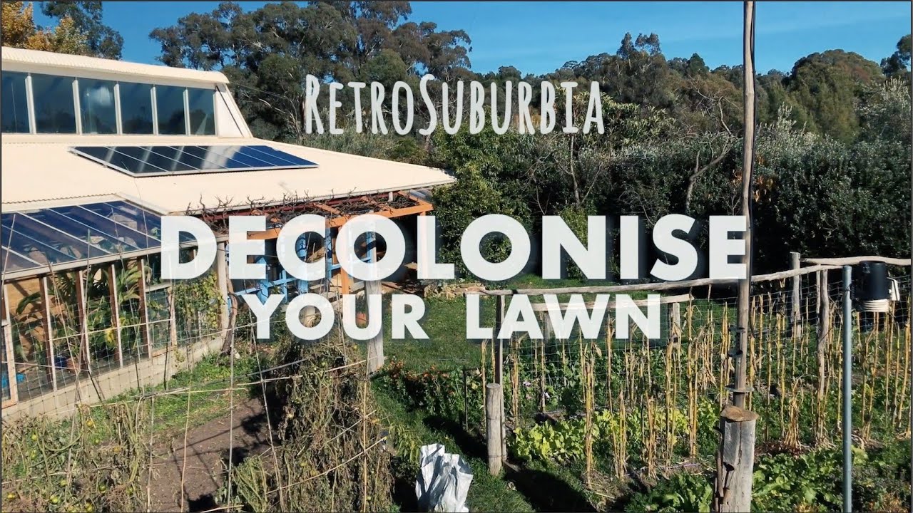 Decolonise Your Lawn - David Holmgren on Ornamentals in Permaculture