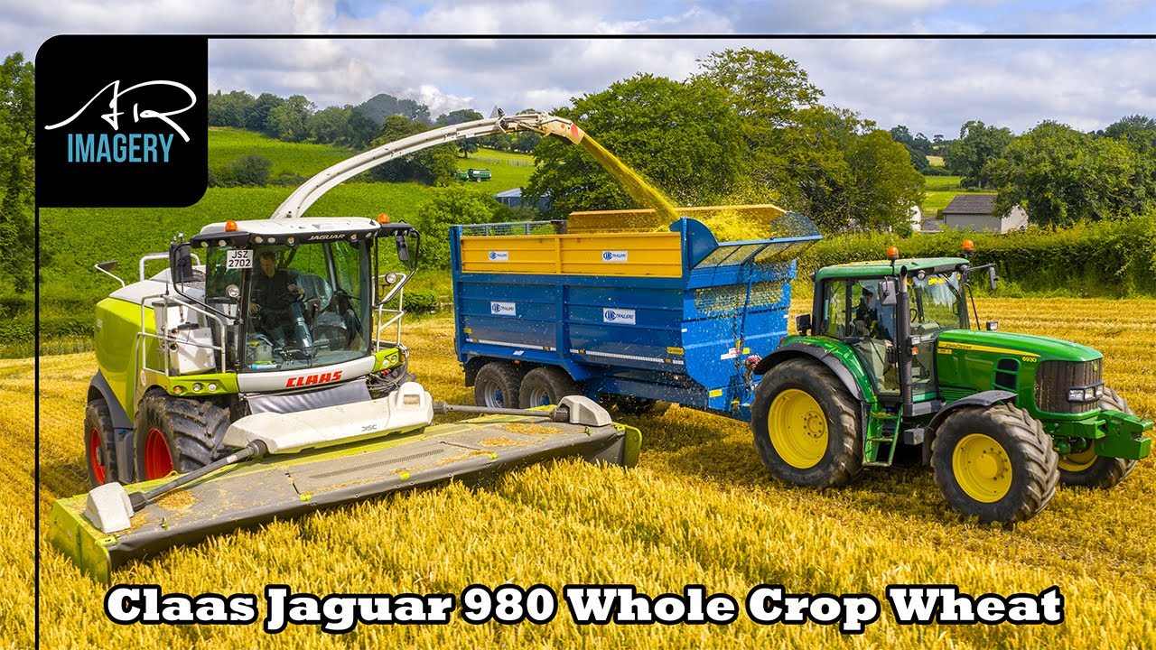 Claas Jaguar 980 | Whole Crop Wheat | JD O’ Hare Agri Contracts