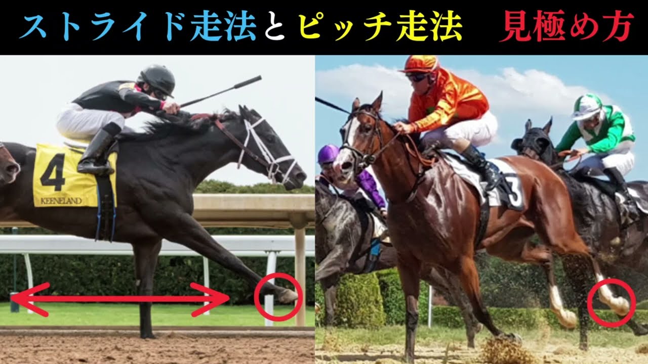 【競馬予想】適性を見抜いて稼ぐ秘密の方法