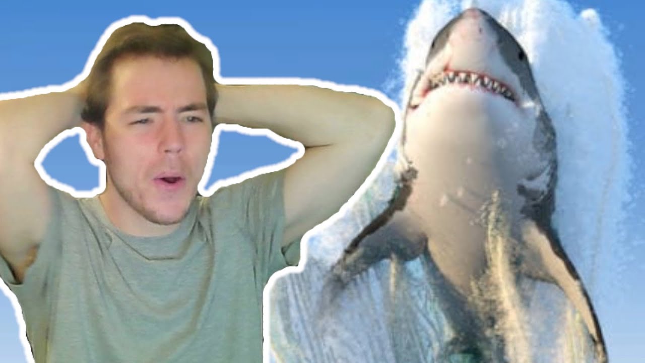 Fish Biologist reacts to 