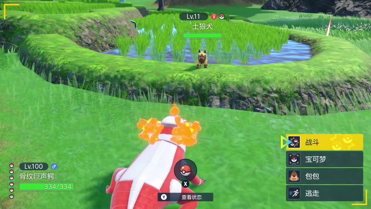 來自北上鄉的禮物 （寶可夢朱紫DLC）