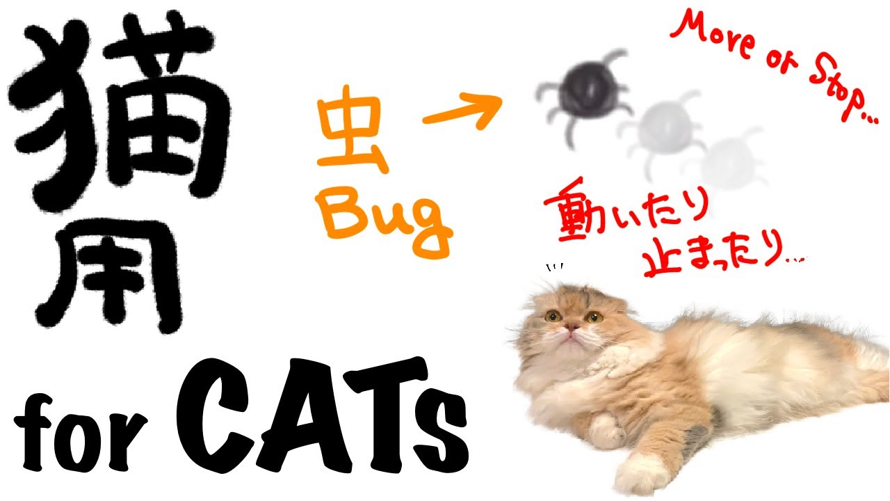 【for CAT】BUG VIDEO for CATS. 猫に見せる動画 - 虫（初代）ver.