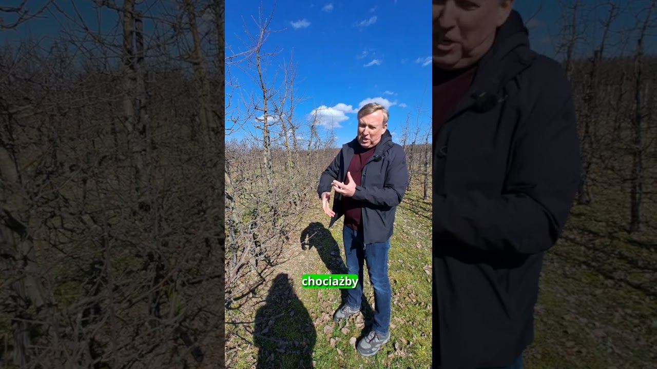 Wspomaganie drzew i krzewów owocowych wiosną - Strategia na trudny sezon.