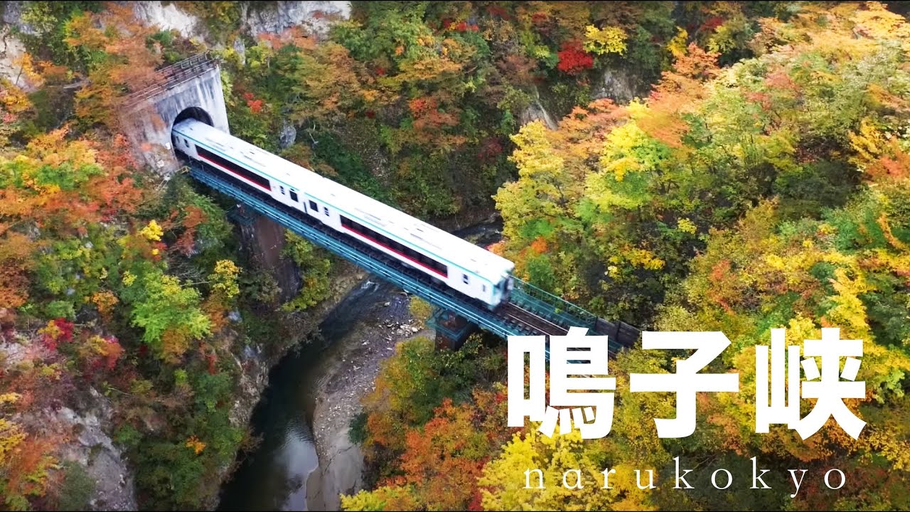 紅葉 の鳴子峡　ドローン 空撮　Autumn leaves in Narukokyo Japan