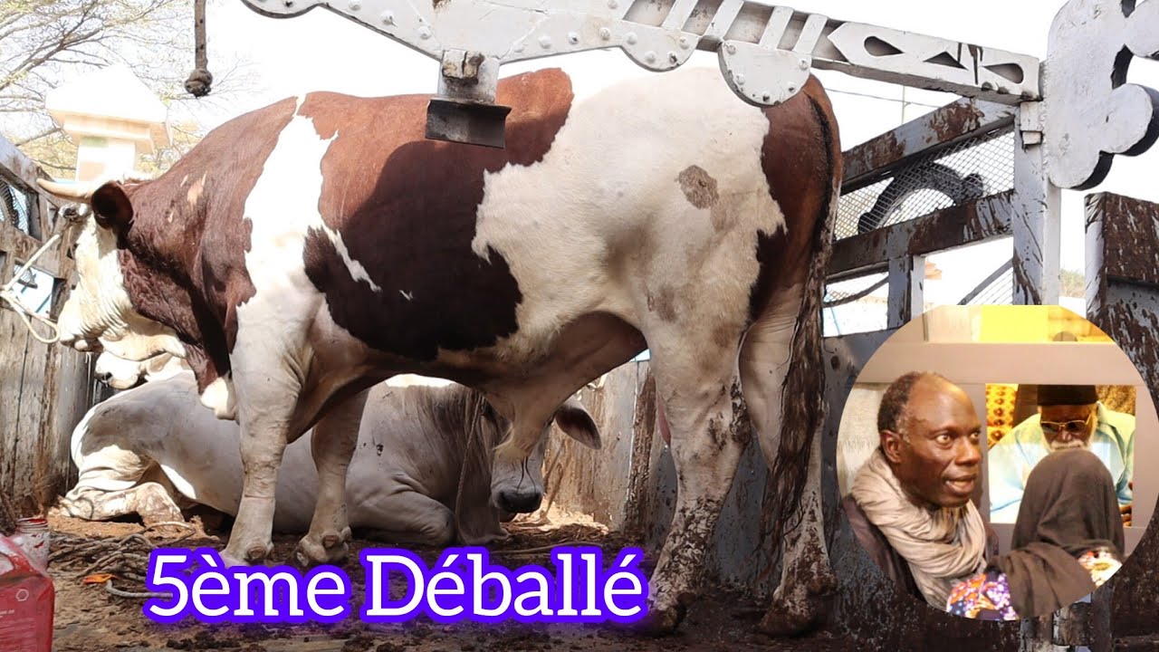 Wajal 5ème Ndogou Adiouma Déballé Adiya Serigne Mame Cheikh Khady Faye ci Serigne Amdy Khady Fall 