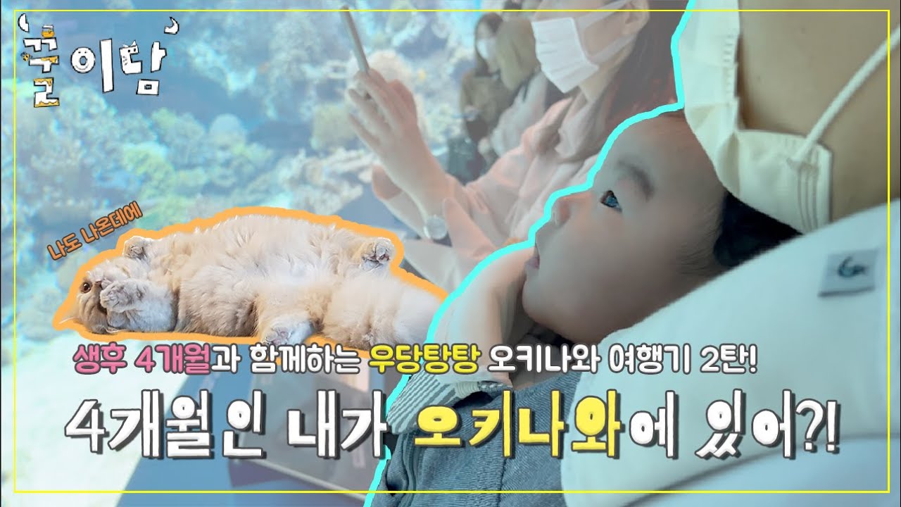 [애묘 육아브이로그] 4개월 아가랑 오키나와 여행기 2탄 :-) ㅣ오키나와ㅣ바다ㅣ아메리칸빌리지ㅣ스시ㅣ수영ㅣ휴게소ㅣ츄라우미 수족관