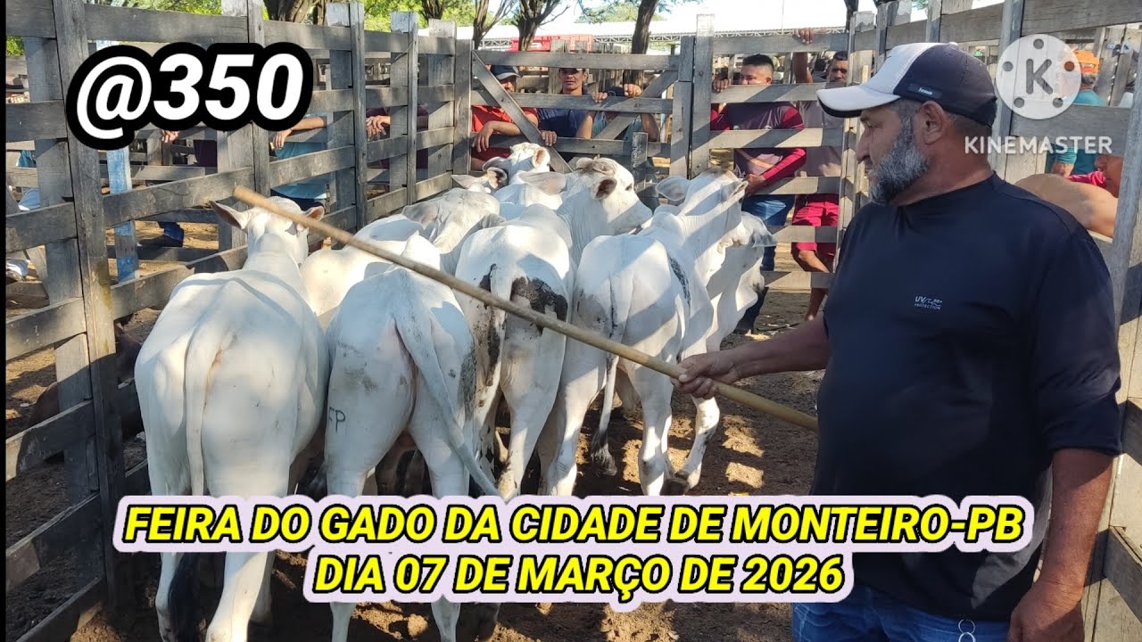 Feira do Gado de Monteiro-PB dia 07/03/26