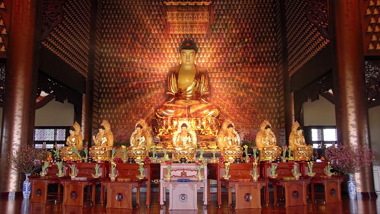 Kinh BÁT ĐẠI NHÂN GIÁC - Hòa Thượng Thích Trí Quảng Trì Tụng