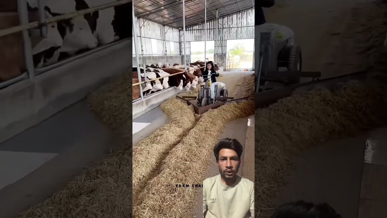 Gail lai Dana bacha le pane halne sakne 