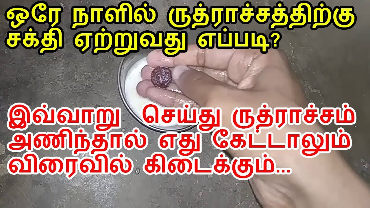 ஒரே நாளில் ருத்ராச்சத்திற்கு சக்தி ஏற்றுவது எப்படி?|kuttisathan