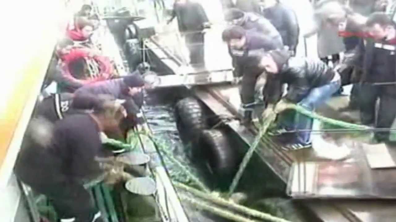 Epic Win, Fail Compilation January 2013!!