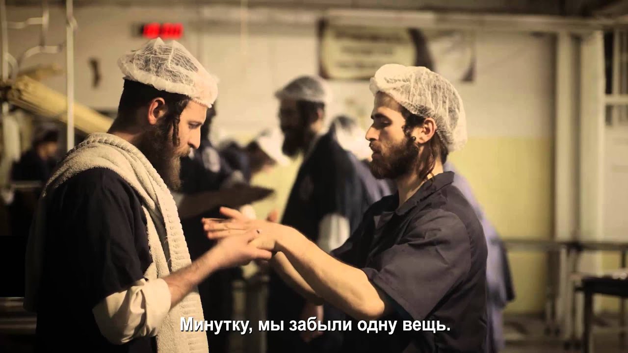 История мацы