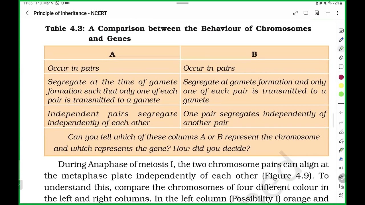 Mendelian & chromosomal disorders | Principle of inheritance | Dr Deepak Classes ( DDC )