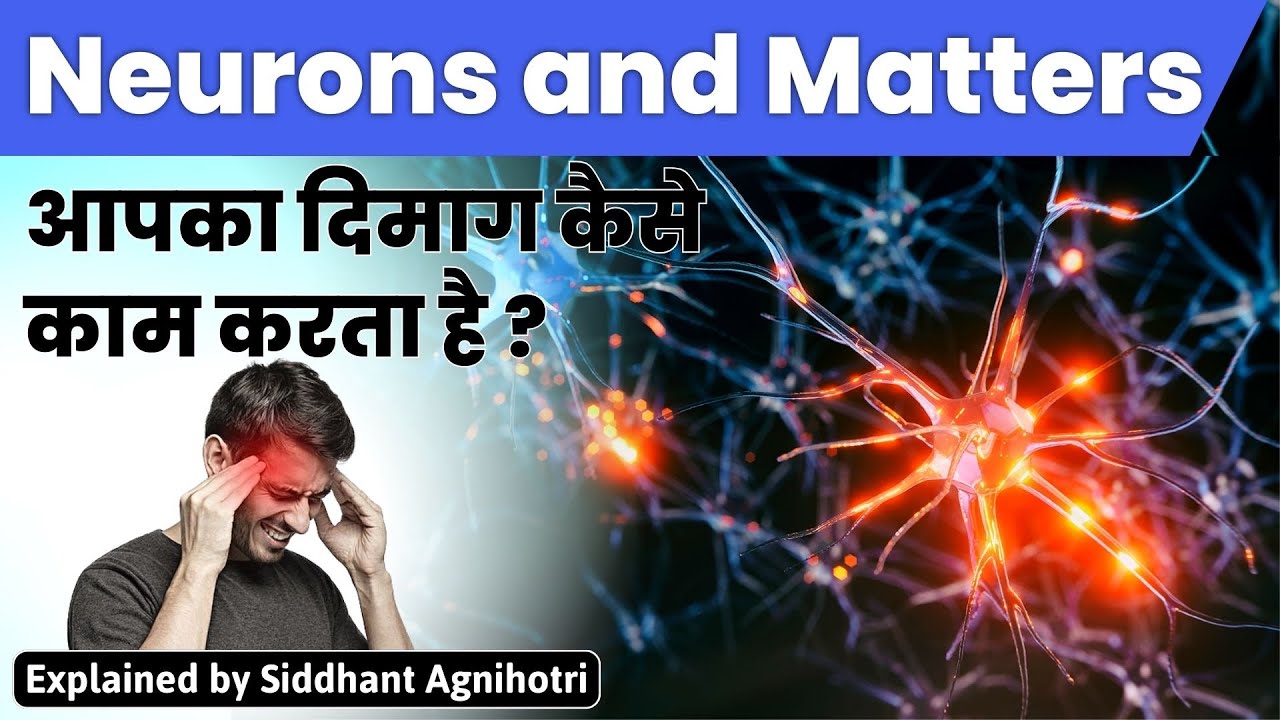What is Neurons and how does it work? Lecture 15