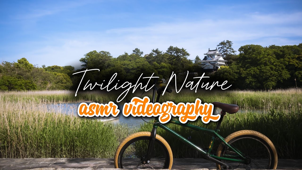 Asmr videography sound bird 