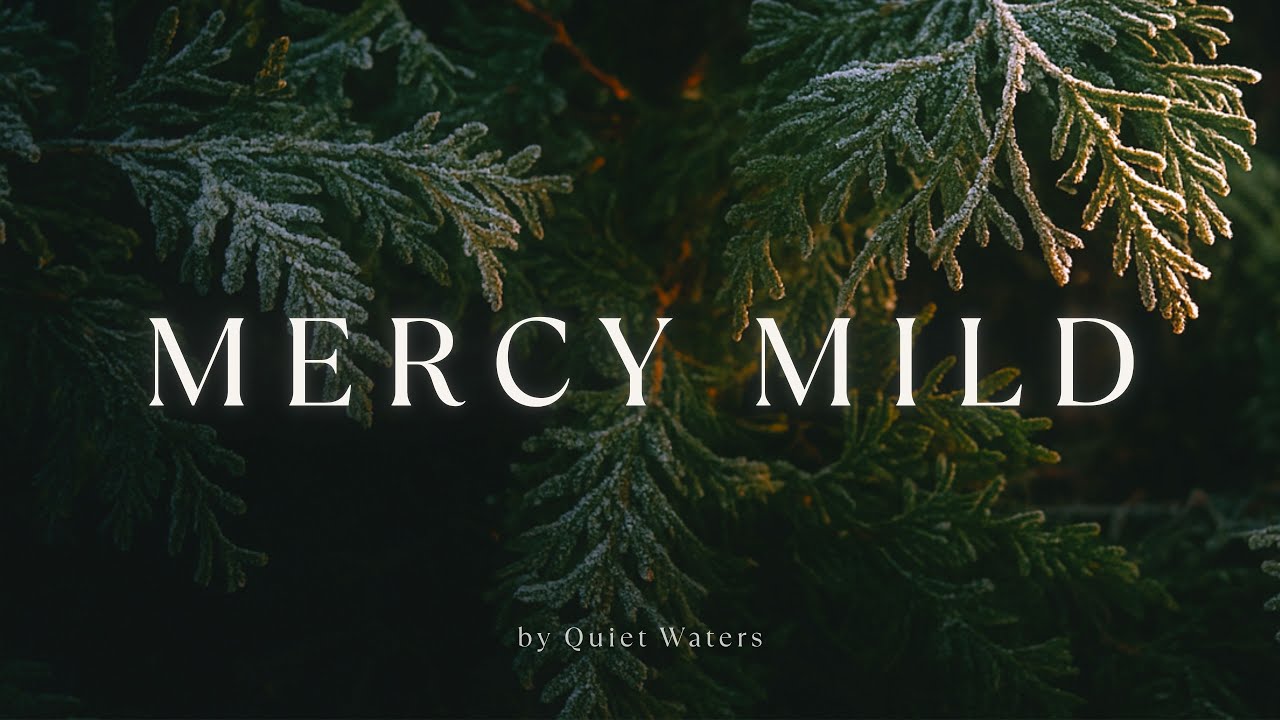 Peaceful Christmas Carol Worship Instrumental | Quiet Time & Devotional