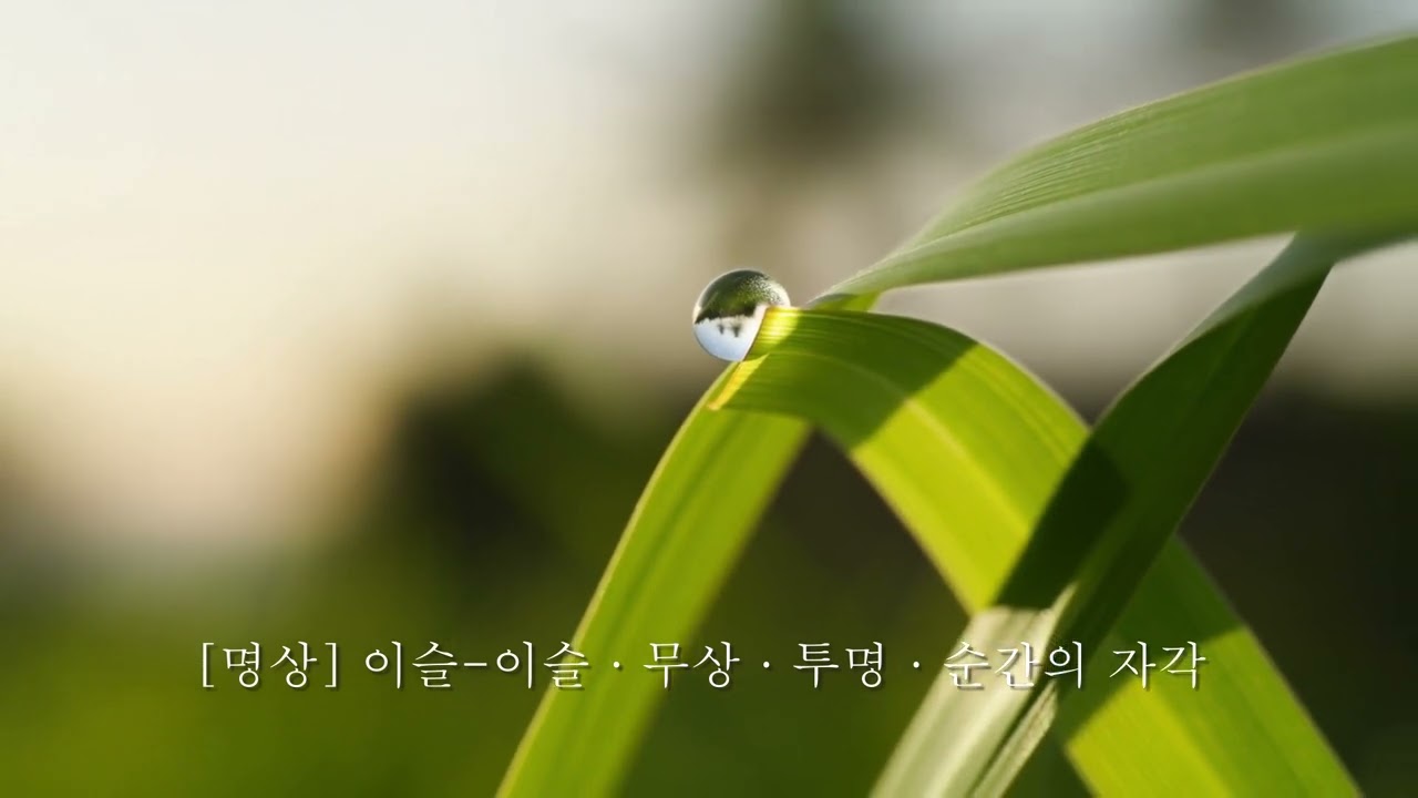 [명상] 이슬-이슬 · 무상 · 투명 · 순간의 자각