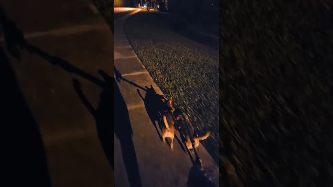 Условия жизни здесь стали просто ужасными 👎