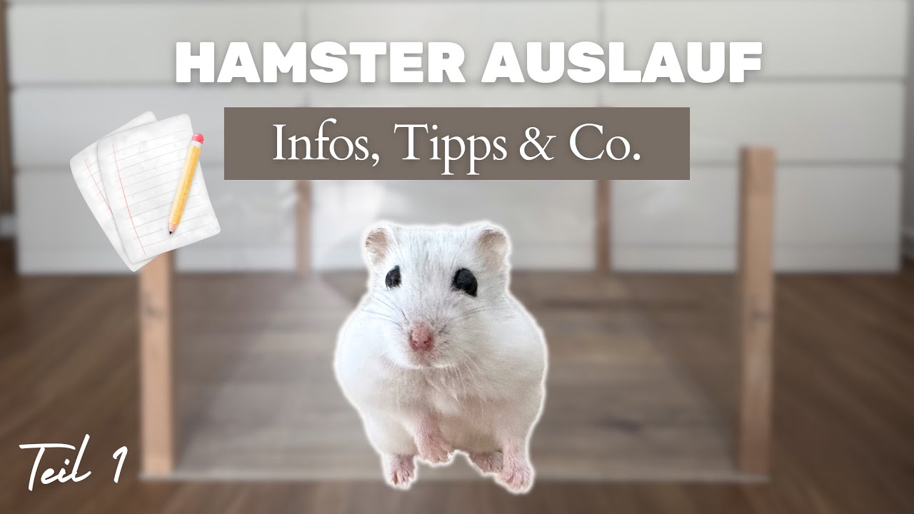 Hamster Auslauf selber bauen | Teil 1 - Das Gehege | Hamsterst&uuml;bchen