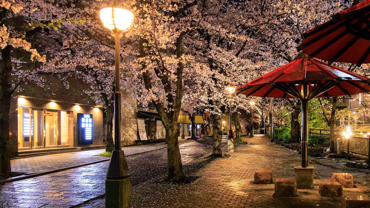 Spring Walk through Higashiyama in Soft Dawn Rain | Kyoto, Japan