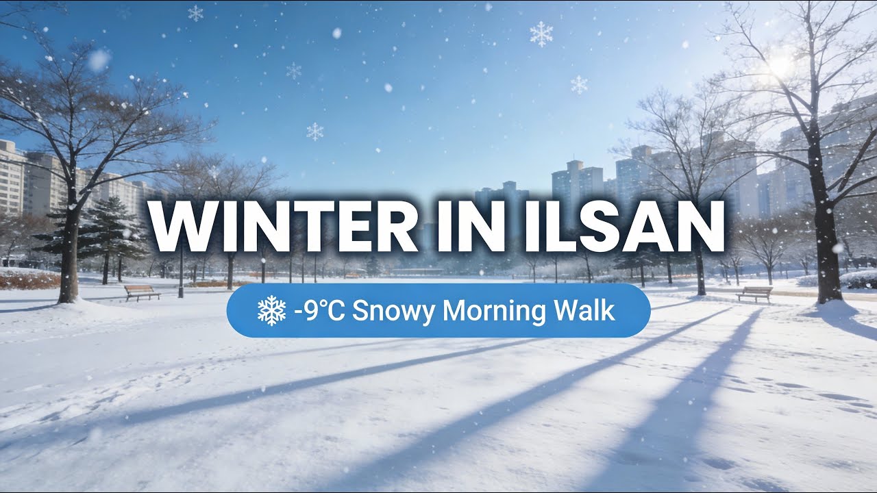 When winter turns the city quiet 🥶| A calm winter morning in Ilsan ❄️| South Korea (대한민국)