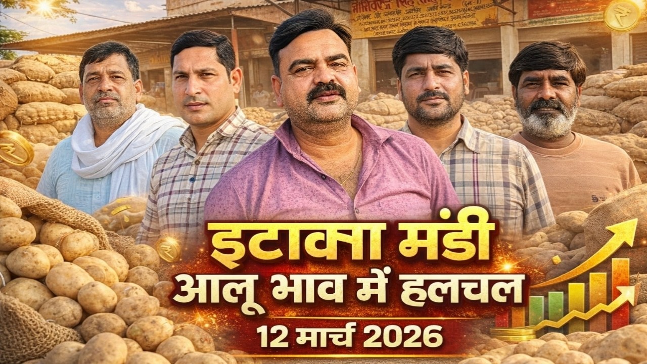 इटावा मंडी में आलू भाव में बड़ी हलचल 😲 | आज का आलू रेट 12 मार्च 2026 | Etawah Mandi Aloo Bhav