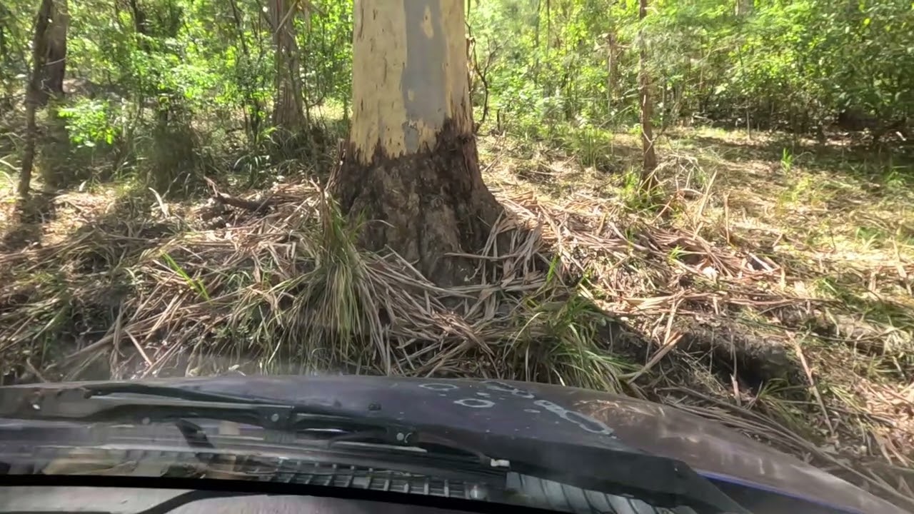 Driving with liz (16 female) 😆😅🤭 you have to watch the whole thing the end 50 seconds is HILARIOUS