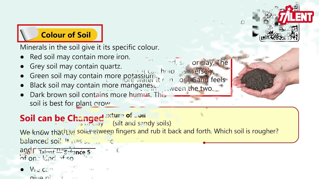Talent Science 5|Unit 8|Characteristics of Soil