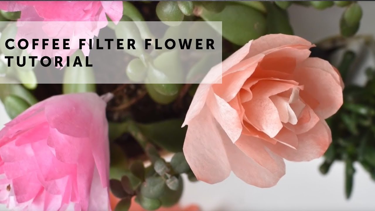 Coffee Filter Flowers
