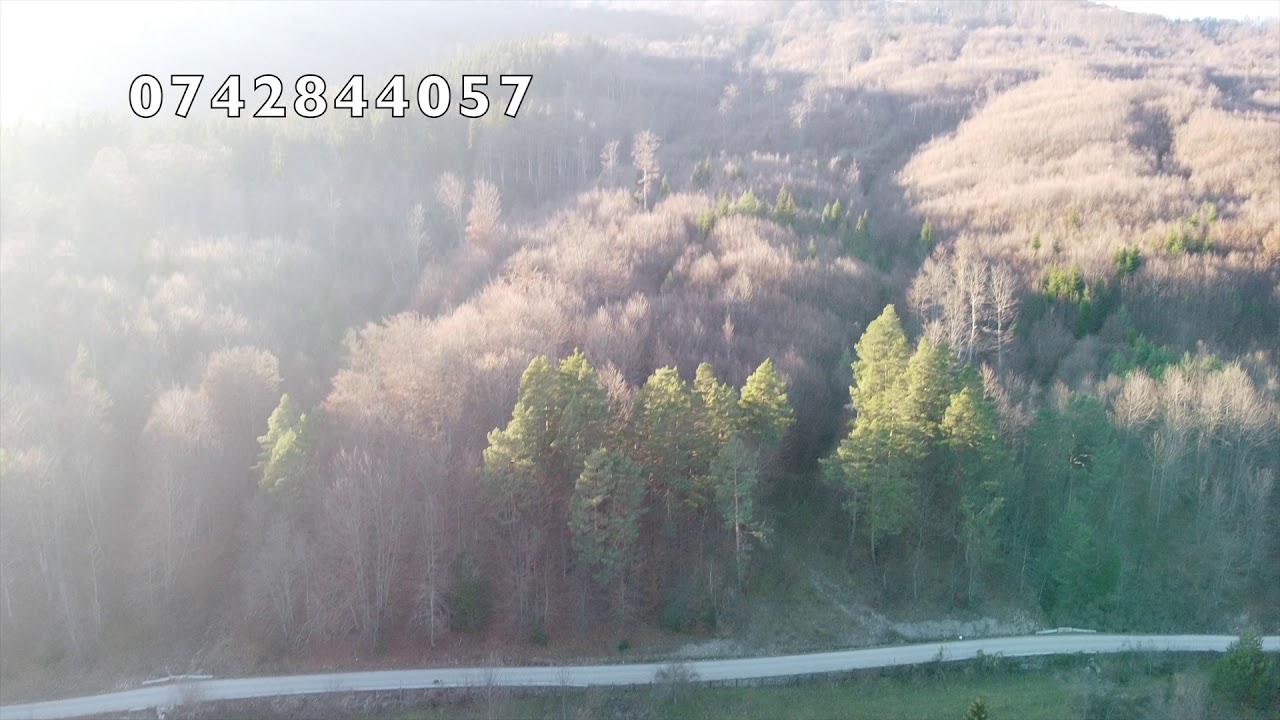 Teren 3000mp + Casa - Valea Doftanei, Prahova
