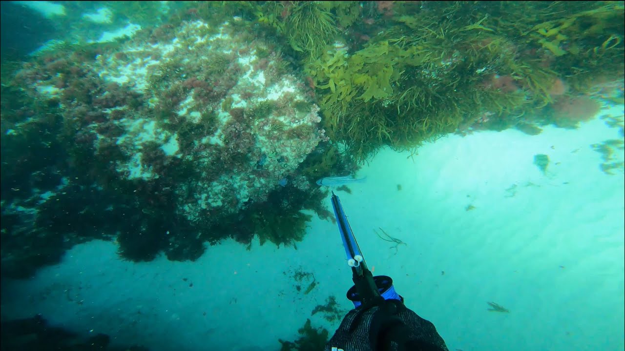 Spearfishing off Canal Rocks (Western Australia)