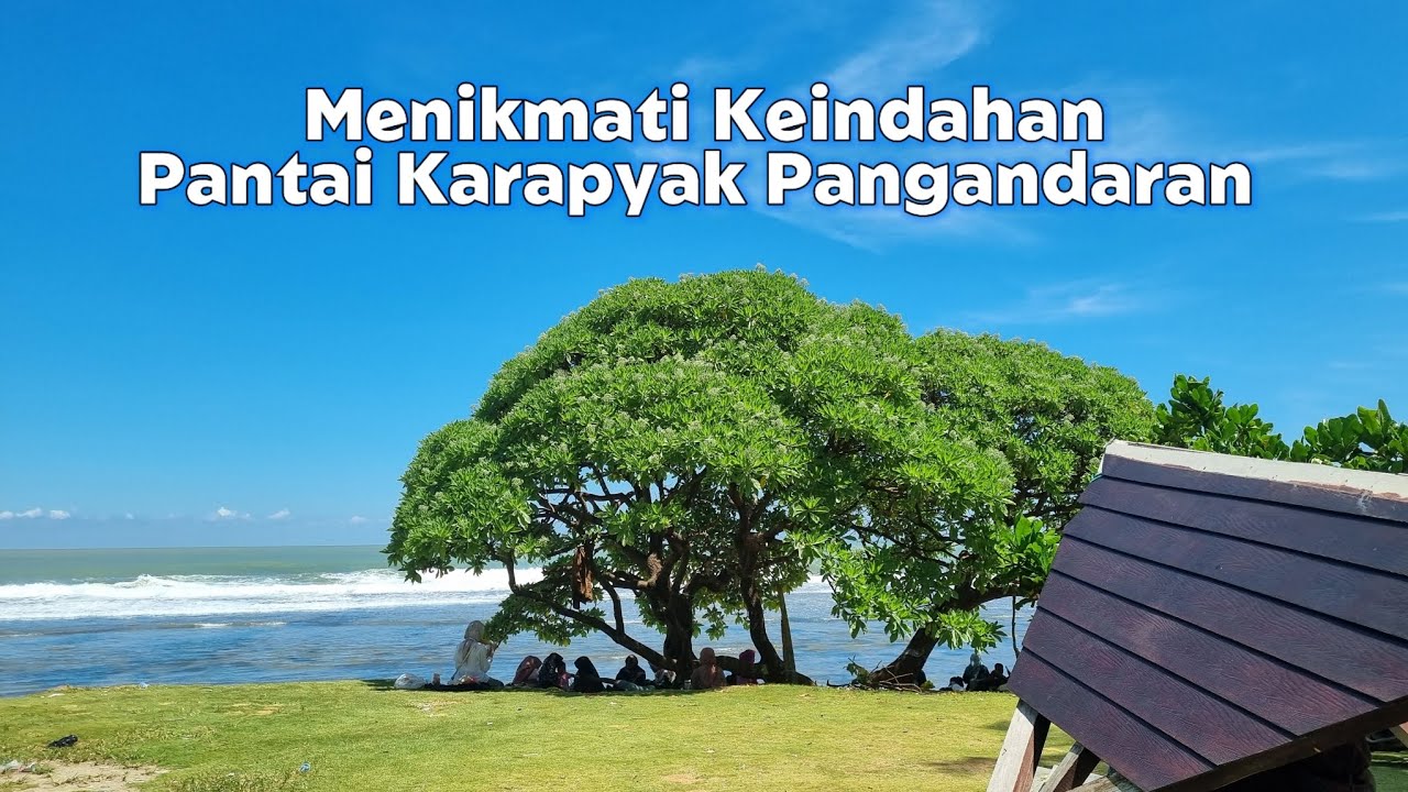 Vlog ke Pantai Karapyak Pangandaran - Ada Pohon Viral❗️❗️❗️