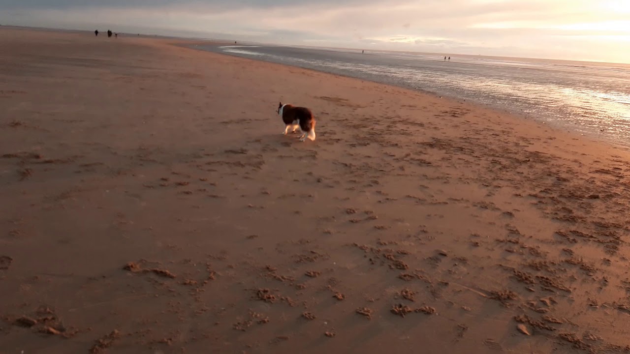 Squires Gate to St Annes-on- Sea Beach 2 January 2021