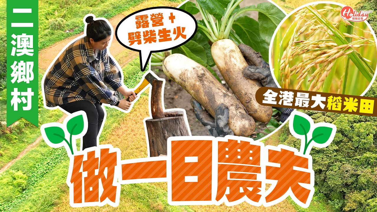 二澳鄉村一日農夫體驗 全港最大稻米田！露營+劈柴生火｜郊遊好去處｜HolidaySmart