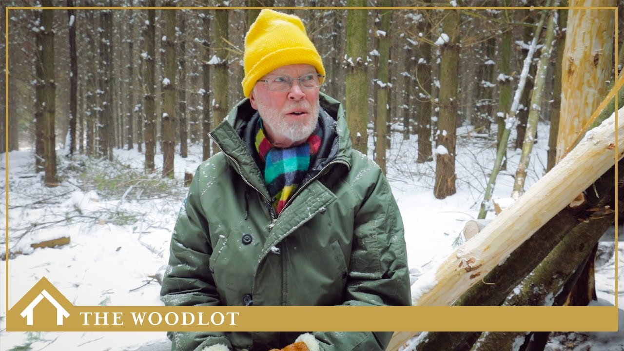 THE WOODLOT - ONTARIO, CANADA