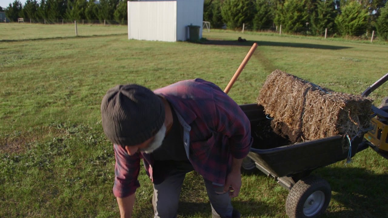How to dig out a tree from the ground to transplant - Part 2