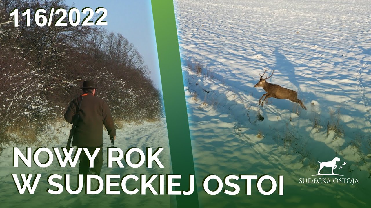 SUDECKA OSTOJA 116/2022 Mróz w łowisku i podsumowanie roku!