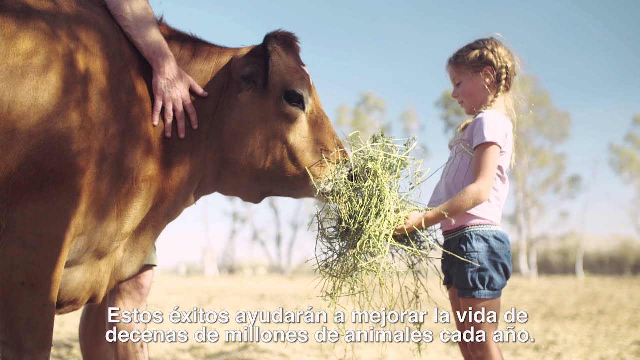 GRACIAS | Mercy For Animals