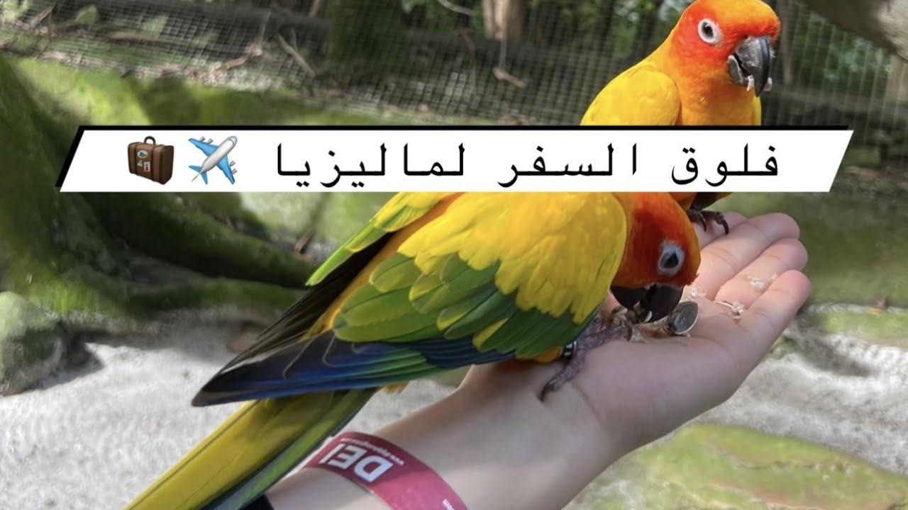 فلوق السفرة!!! واخيييراااا✈️🧳