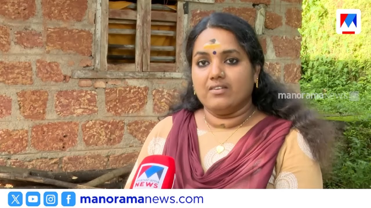 ശല്യം സഹിക്കാൻ വയ്യാതെയാണ് അമ്മായിയപ്പനെ അടിച്ചതെന്ന് സൗമ്യ | Soumya | Father In Law