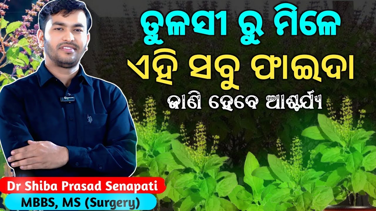 ତୁଳସୀ ପତ୍ରରୁ ମିଳେ ଏହି ସବୁ ଫାଇଦା#odiahealthtips#tulsibenefits