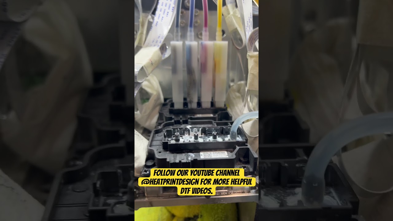 How to power flush your DTF print heads. i3200 epson print head cleaning for direct to film printing