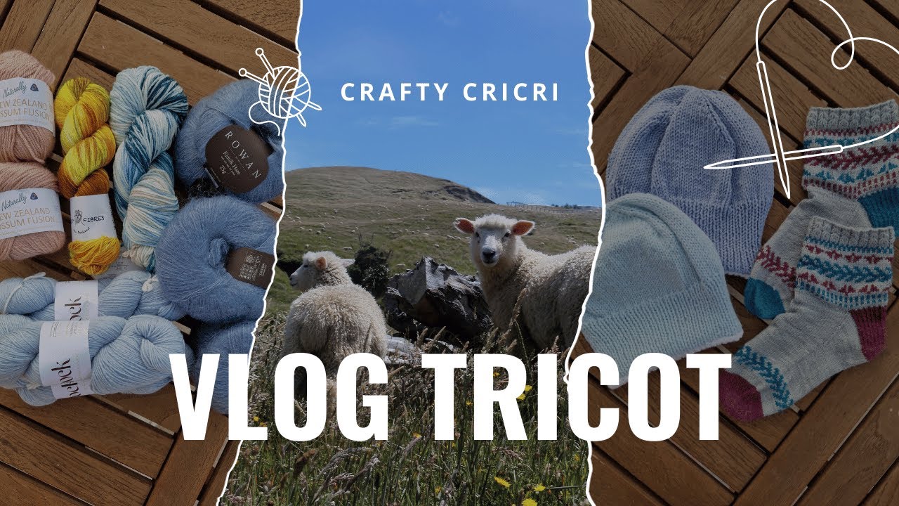 Vlog Tricot #2  -  Tricot, vacances & moutons mérinos ✈️🚐🐑🧶
